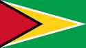 guyana-flag_121309542