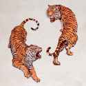 yin_yang_tigers