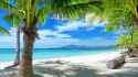 tropic-paradise-azure-ocean-palm