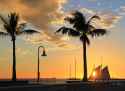 palm_trees_and_boats_in_harbour__sunset_over_key_west__florida__usa