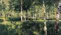 isaak_levitan_-_birch_forest__1885_-_1889