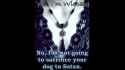 Wiccan