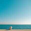 cat_on_a_beach