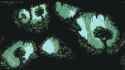 Jungle-Cave-Background_Pukahuna