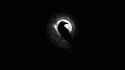 RavenKnotworkDarkBlackWhiteSimpleMinimalismWP