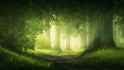 Wooded