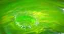 A Very Green Splash