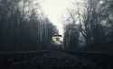 dark-trees-railway-train-vehicle-1235083-wallhere.com