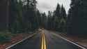 road_marking_trees_137674_1920x1080