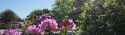 Aula_Fruehling2