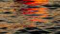 theau-leveque-ZB8tCyCGu64-unsplash