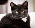 wide_eyed
