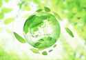 frutiger-eco-images-ive-collected-the-past-few-days-v0-0qsu7obenwoc1-4000767156
