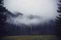 wallhaven-76j1oo