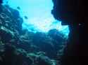 UnderWater-7380