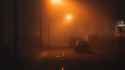 street_night_fog