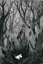 moonin.woods