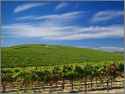 windows xp bliss wallpaper location