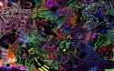 psychedelicwall