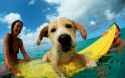 Bailey the Surf Dog (1989) - Rick Doyle