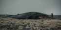 Whale.Valley.2013 2