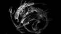 xeno