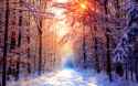 earth-winter-1435474