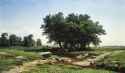 ivan_sishkin_-_oaks__1886
