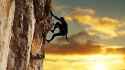 Free Climb