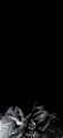 427 KB