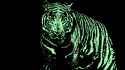 Tiger Voidglow.png