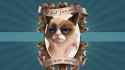 Free-download-Grumpy-Cat-Wallpapers-HD.jpg