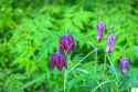 472 KB