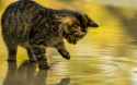 861 KB