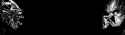 808 KB