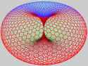 torus