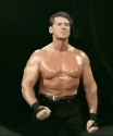 vince walk