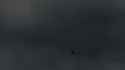 5.98 MB