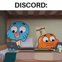 785 KB