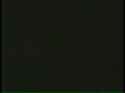 1.81 MB