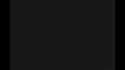 1.4 MB