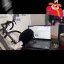 3.7 MB