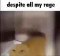 649 KB