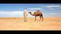 ArabyToday.webm