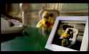 Mr Oizo, Flat Eric - Flat beat (Official Video).webm
