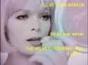The Velvet Underground & Nico - I'll Be Your Mirror.mp4