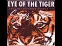 Survivor - The Eye of the Tiger.webm
