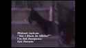 5.42 MB