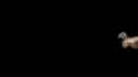 1.6 MB