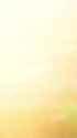 3.78 MB